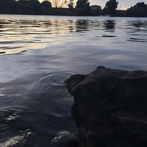 Meet your Posher, Isabel